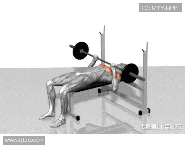 哑铃锻炼助你轻松瘦胳膊的有效动图分享与技巧解析